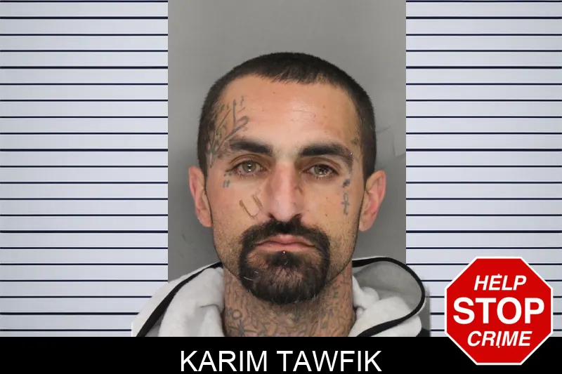 Karim Tawfik Mugshots
