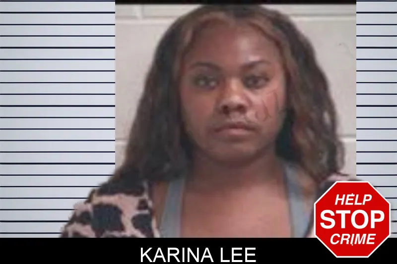 Karina Lee Mugshots
