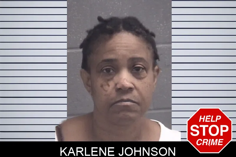 Karlene Johnson Mugshots