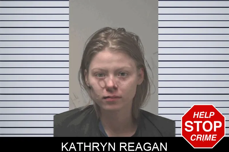 Kathryn Reagan mugshot – Coweta County , Georgia Kathryn Reagan mugshot