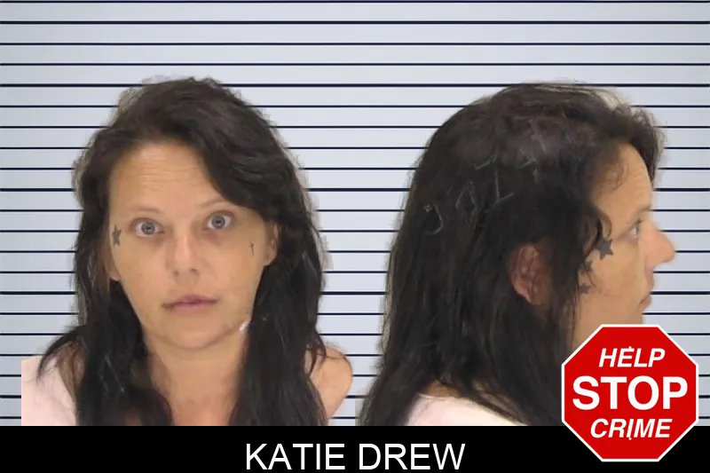 Katie Drew mugshot