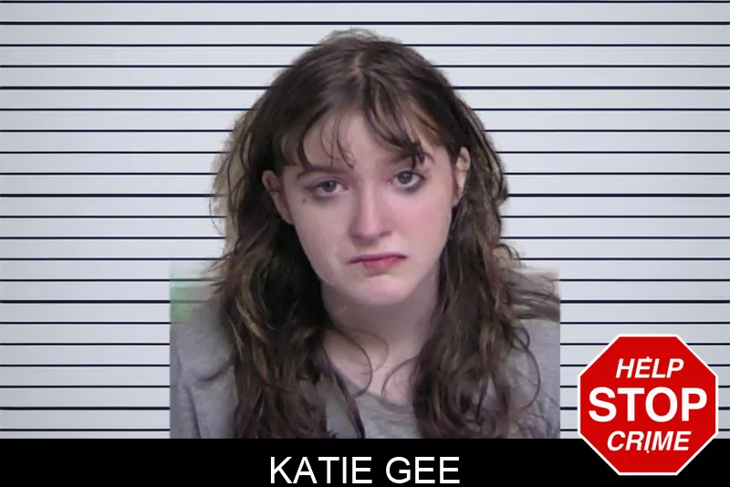 Katie Gee mugshot – Walker County , Georgia Katie Gee mugshot