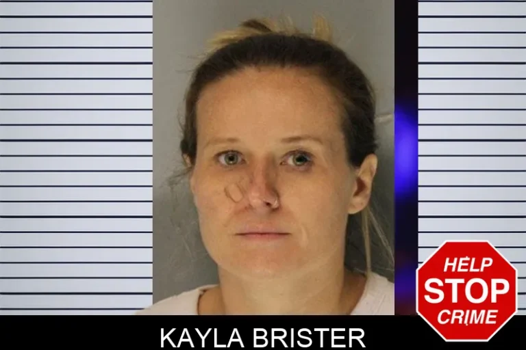 Kayla Brister mugshot – Hall County , Georgia Kayla Brister