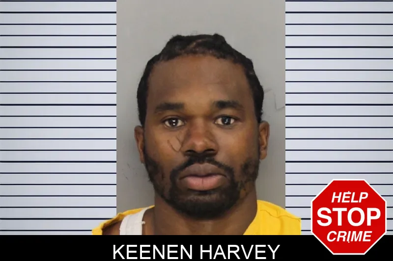 Keenen Harvey mugshot – Cobb County , Georgia Keenen Harvey mugshot