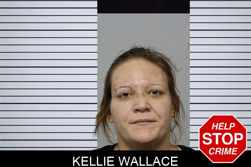Kellie Wallace mugshot