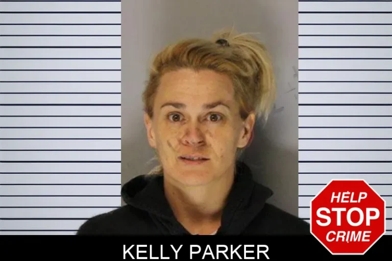 Kelly Parker mugshot – Hall County , Georgia Kelly Parker