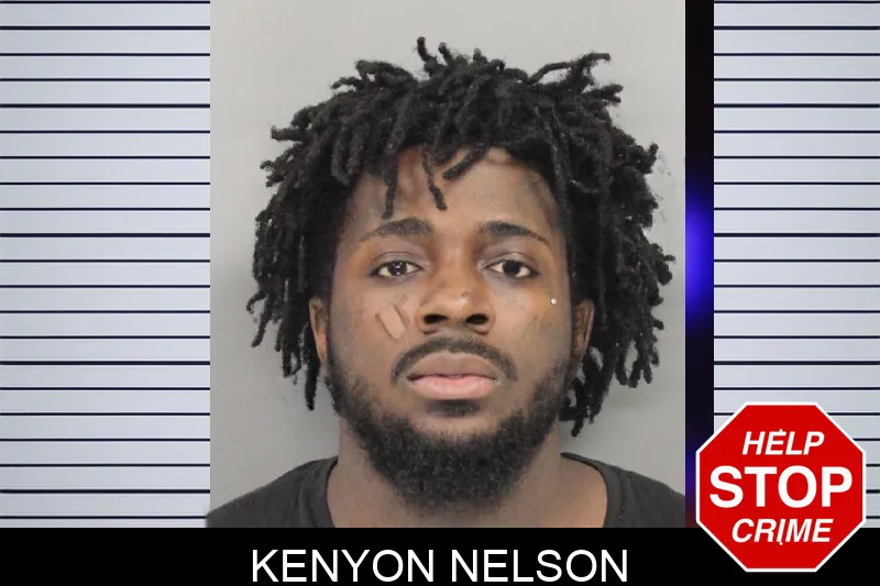 Kenyon Nelson mugshot