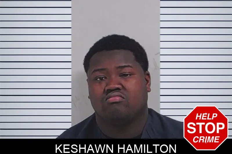Keshawn Hamilton mugshot