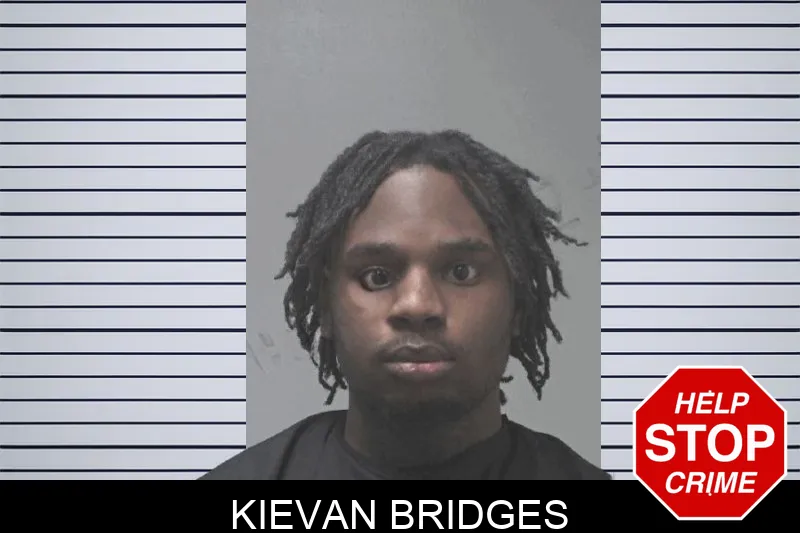 Kievan Bridges Mugshots