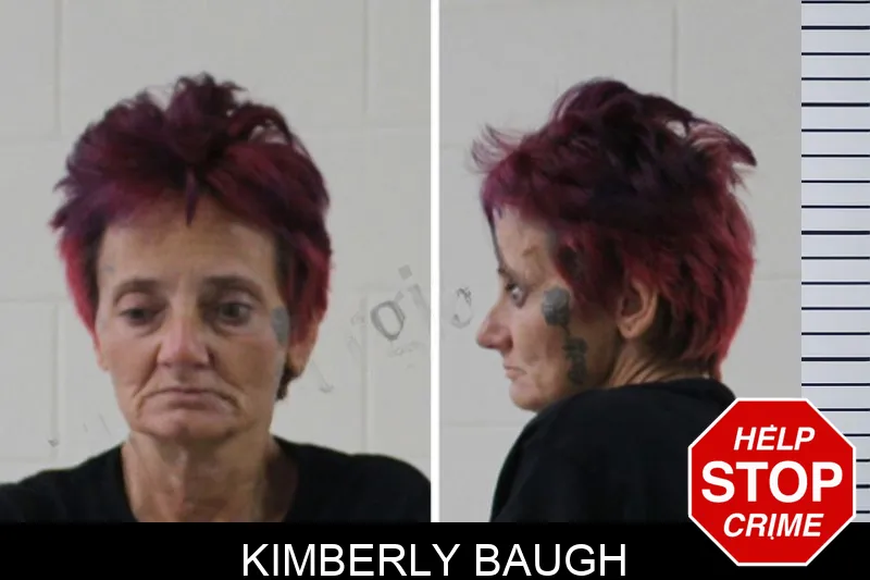 Kimberly Baugh Mugshots