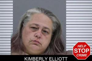 Kimberly Elliott mugshot