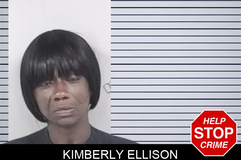 Kimberly Ellison mugshot