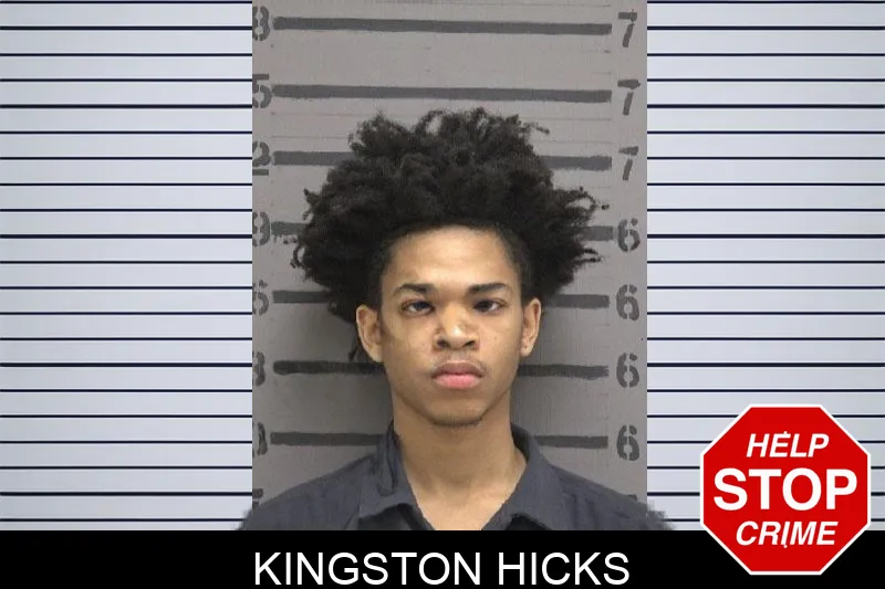Kingston Hicks mugshot – Dougherty County , Georgia Kingston Hicks mugshot
