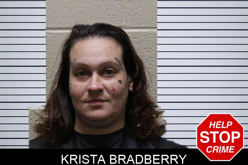 Krista Bradberry Mugshots