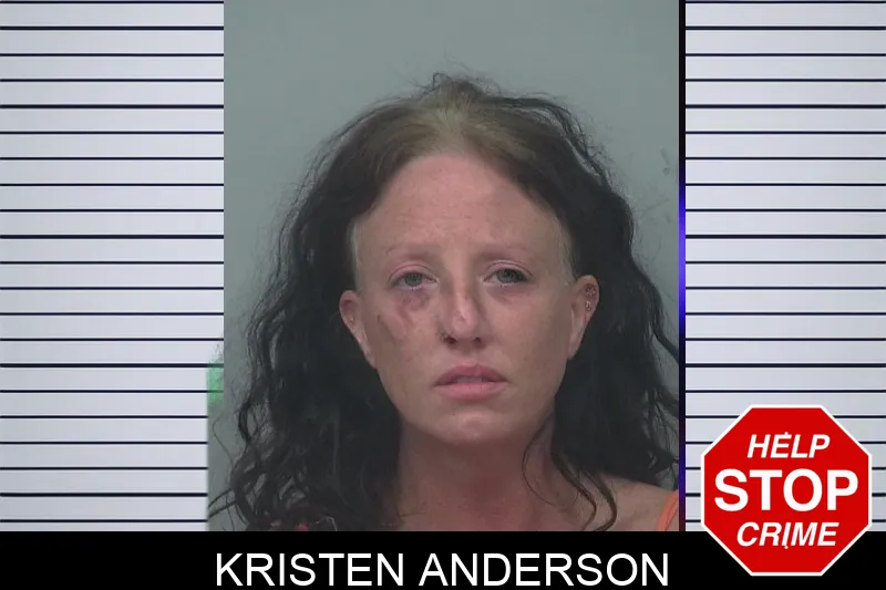 Kristen Anderson mugshot