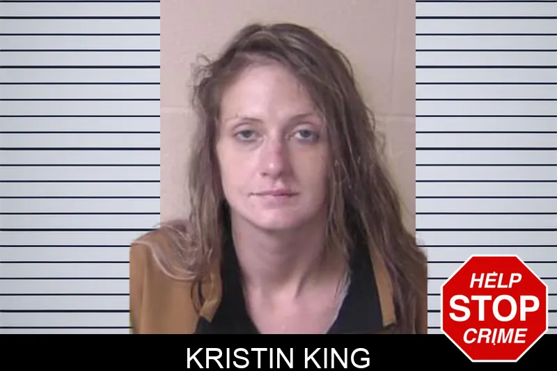 Kristin King mugshot