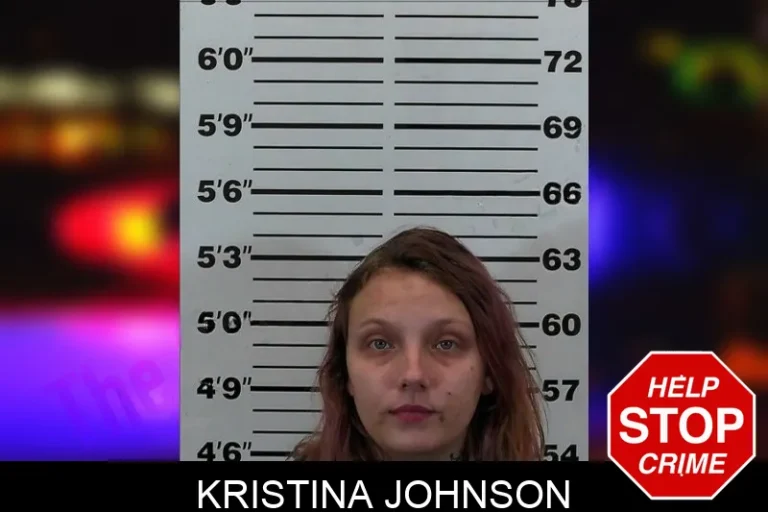Kristina Johnson mugshot – Hart County , Georgia Kristina Johnson