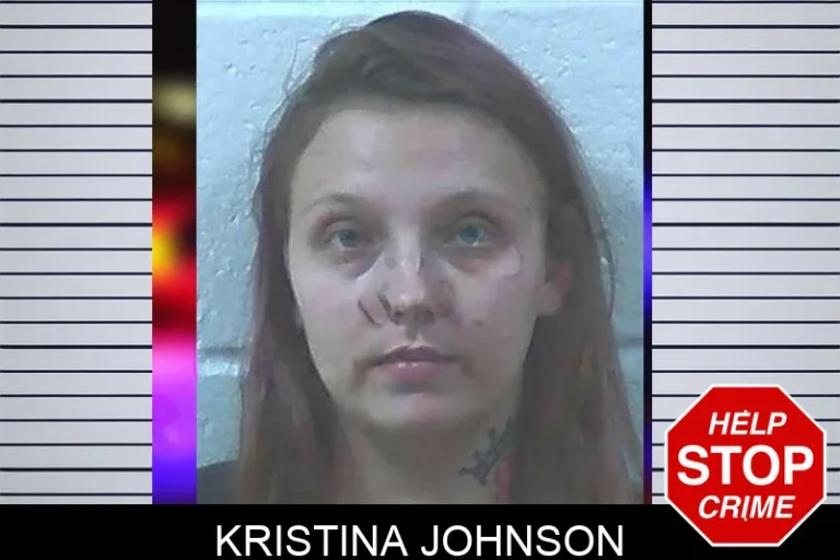 Kristina Johnson mugshot – Hart County , Georgia Kristina Johnson