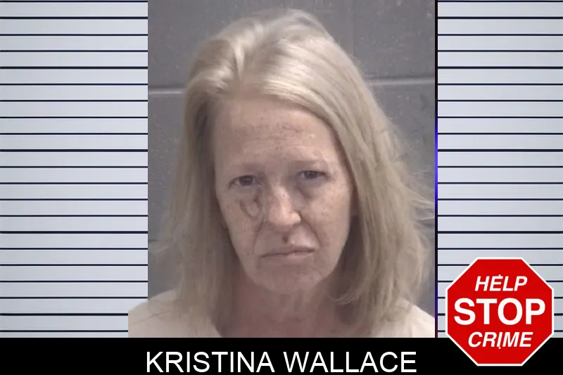 Kristina Wallace Mugshots