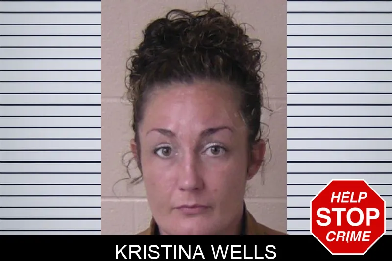 Kristina Wells mugshot