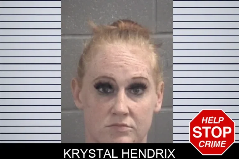 Krystal Hendrix mugshot β Spalding County , Georgia Krystal Hendrix