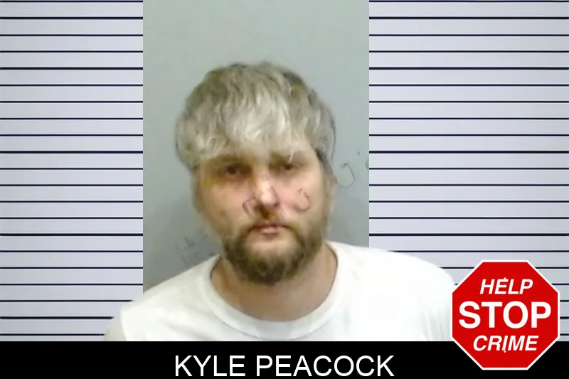 Kyle Peacock Mugshots