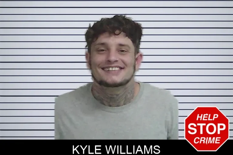 Kyle Williams mugshot – Wayne County , Georgia Kyle Williams