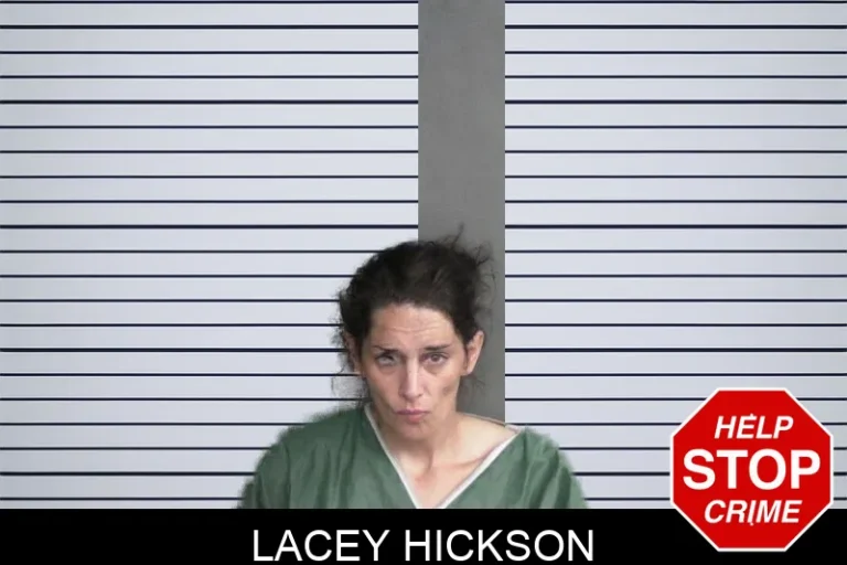 Lacey Hickson mugshot – Twiggs County , Georgia Lacey Hickson