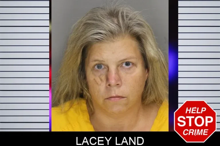 Lacey Land mugshot – Cobb County , Georgia Lacey Land