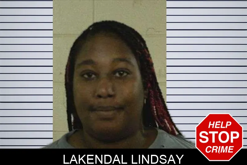Lakendal Lindsay mugshot – Liberty County , Georgia Lakendal Lindsay mugshot