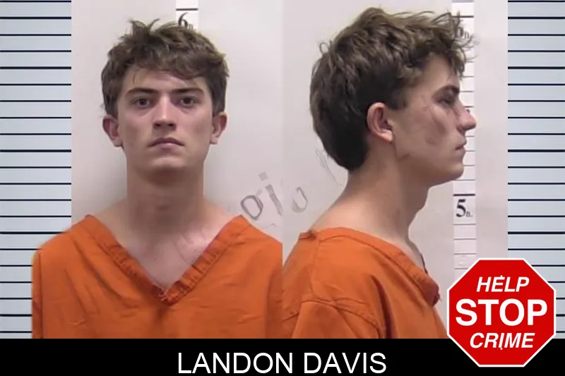 Landon Davis Mugshots