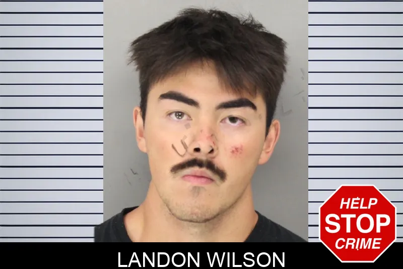 Landon Wilson mugshot – Cobb County , Georgia Landon Wilson mugshot