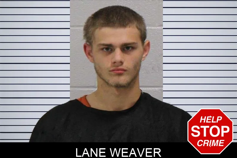 Lane Weaver mugshot – Carroll County , Georgia Lane Weaver mugshot