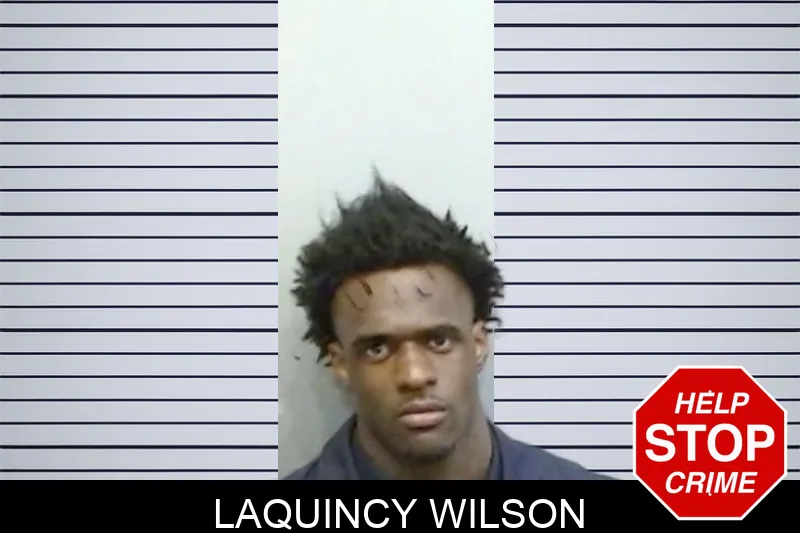 Laquincy Wilson mugshot
