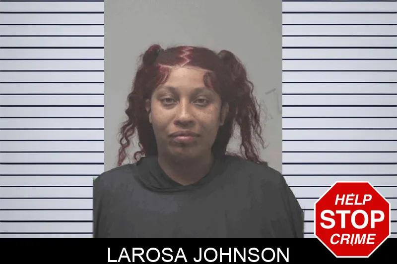 Larosa Johnson mugshot – Coweta County , Georgia Larosa Johnson mugshot