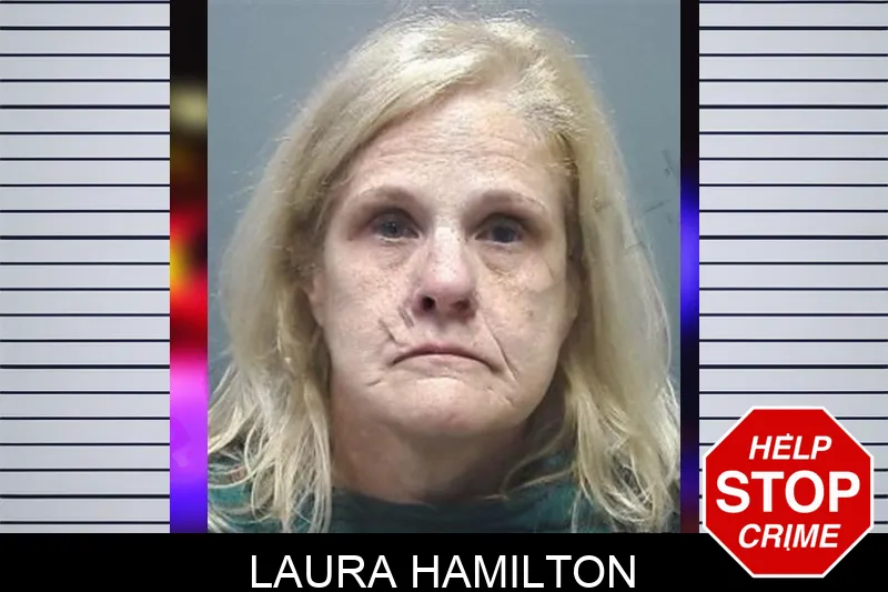 Laura Hamilton mugshot – Cherokee County , Georgia Laura Hamilton mugshot