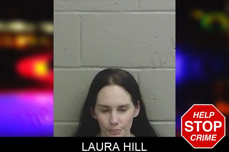 Laura Hill Mugshots