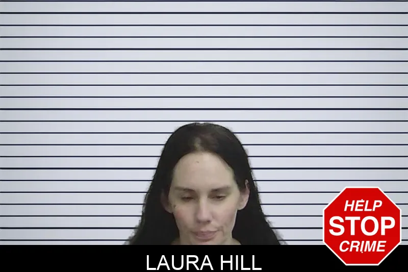 Laura Hill mugshot