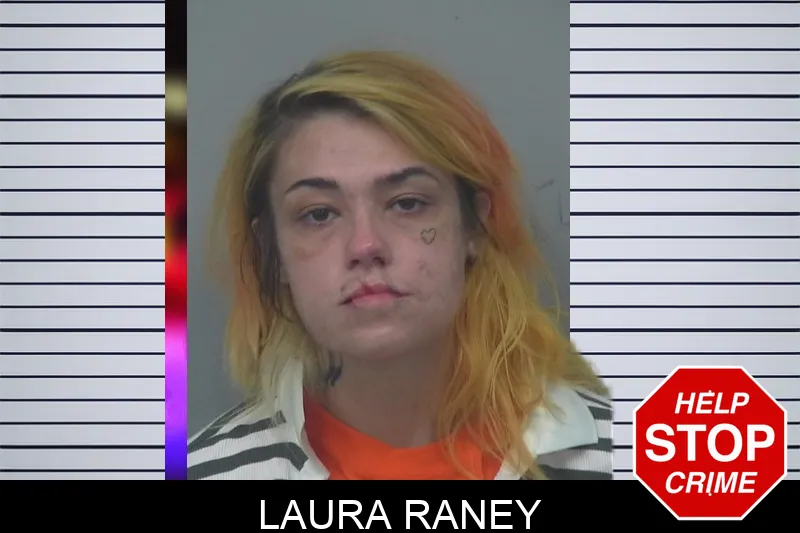 Laura Raney mugshot