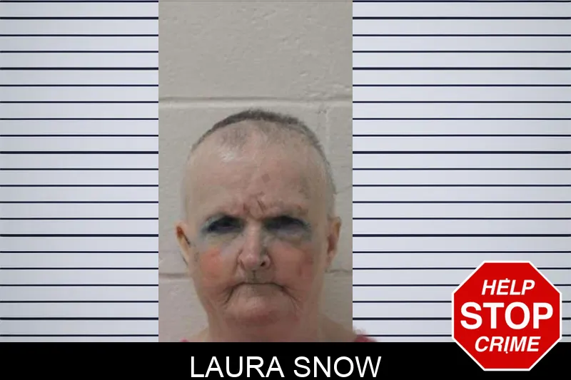 Laura Snow