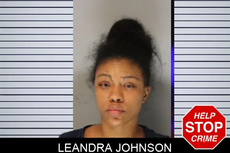 Leandra Johnson mugshot – Hall County , Georgia Leandra Johnson