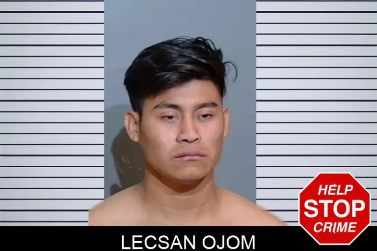 Lecsan Ojom
