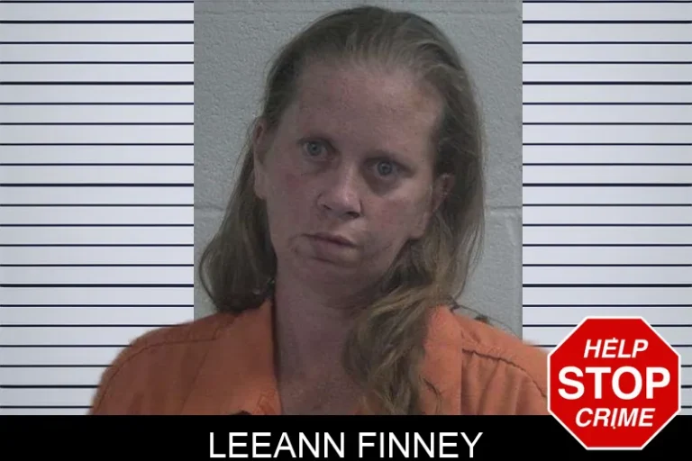 Leeann Finney mugshot – McDuffie County , Georgia Leeann Finney
