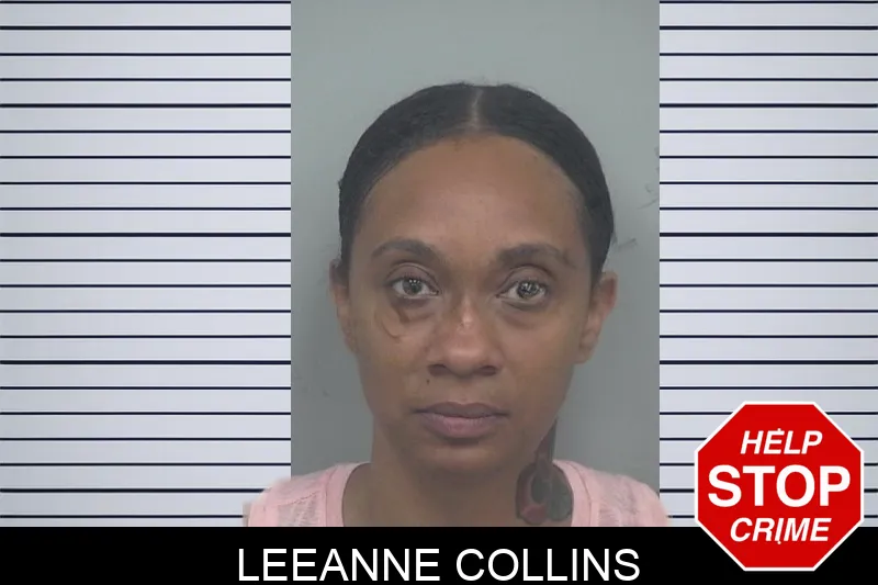Leeanne Collins Mugshots