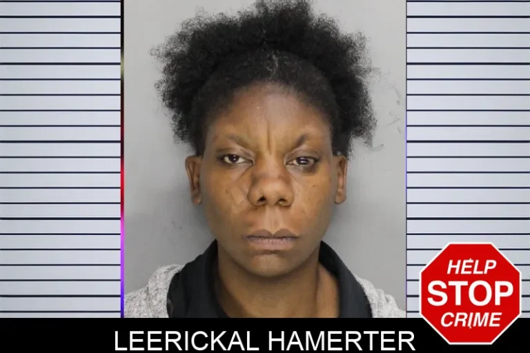 Leerickal Hamerter mugshot – Cobb County , Georgia Leerickal Hamerter