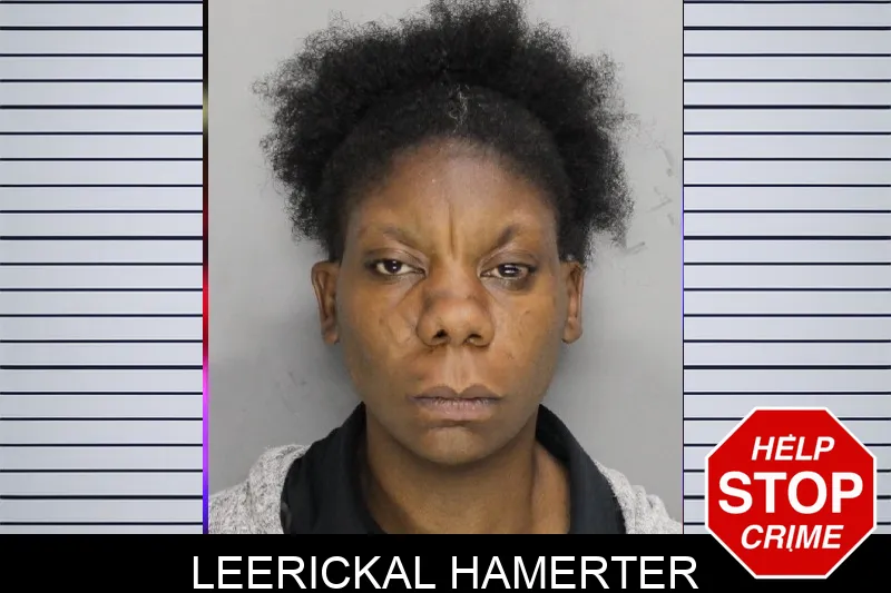 Leerickal Hamerter mugshot – Cobb County , Georgia Leerickal Hamerter mugshot