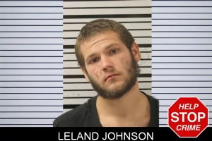 Leland Johnson mugshot