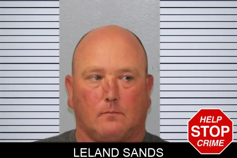 Leland Sands