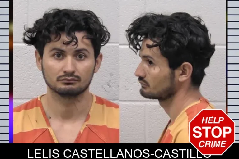 Lelis Castellanos-Castillo mugshot – Paulding County , Georgia Lelis Castellanos-Castillo