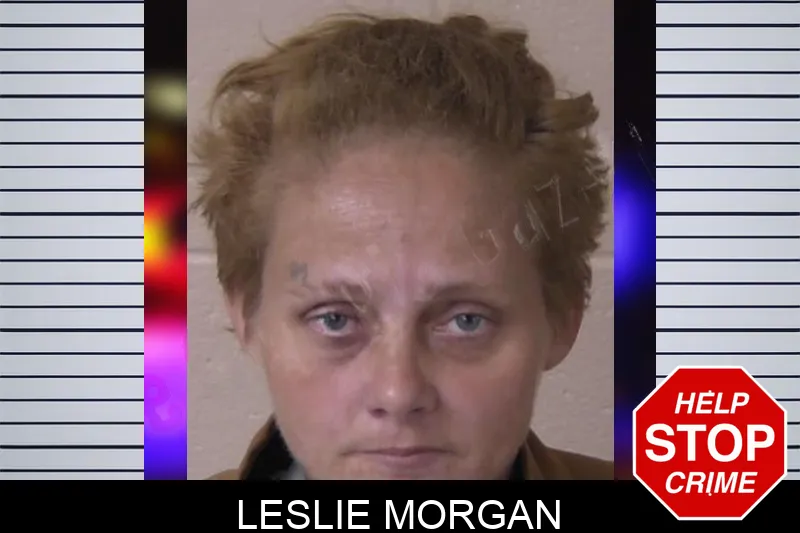 Leslie Morgan mugshot